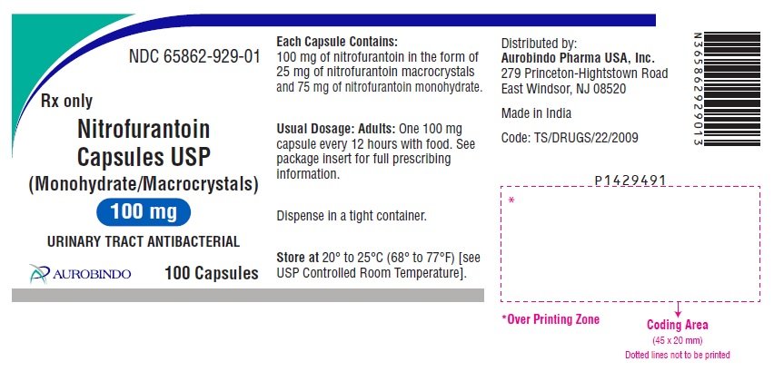 PACKAGE LABEL-PRINCIPAL DISPLAY PANEL - 100 mg (100 Capsules Bottle)