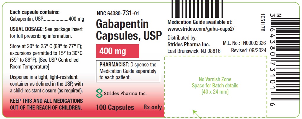 gabapentin acella package insert