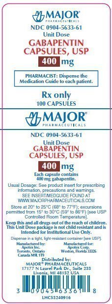 gabapentin drug facts