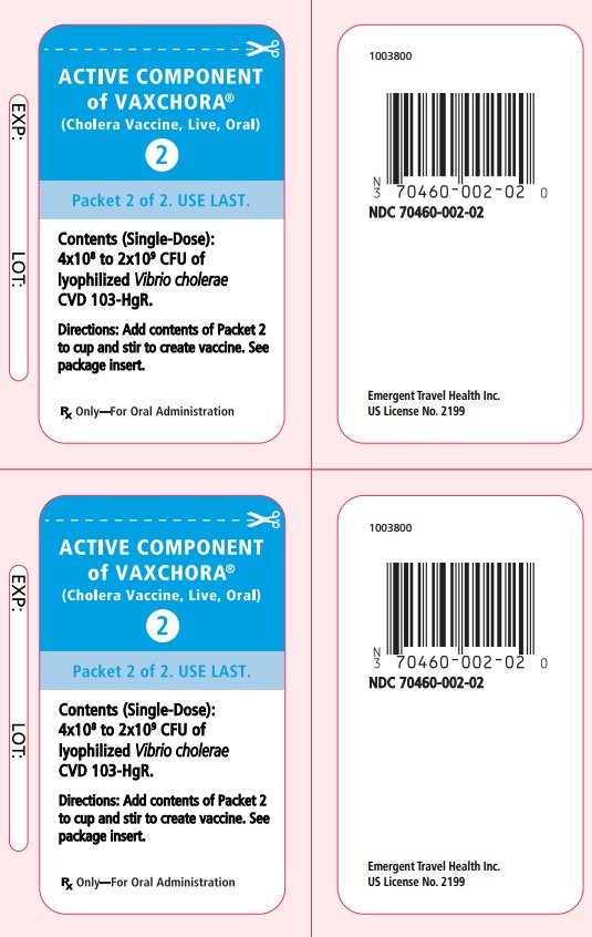 Principal Display Panel- Vaccine Packet Label