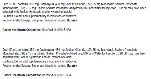 Daptomycin Carton Label 0338-0712-24 3 of 3