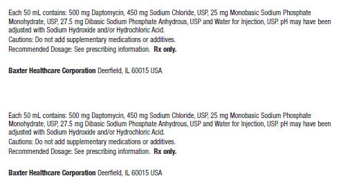 Daptomycin Carton Label 0338-0714-24 3 of 3