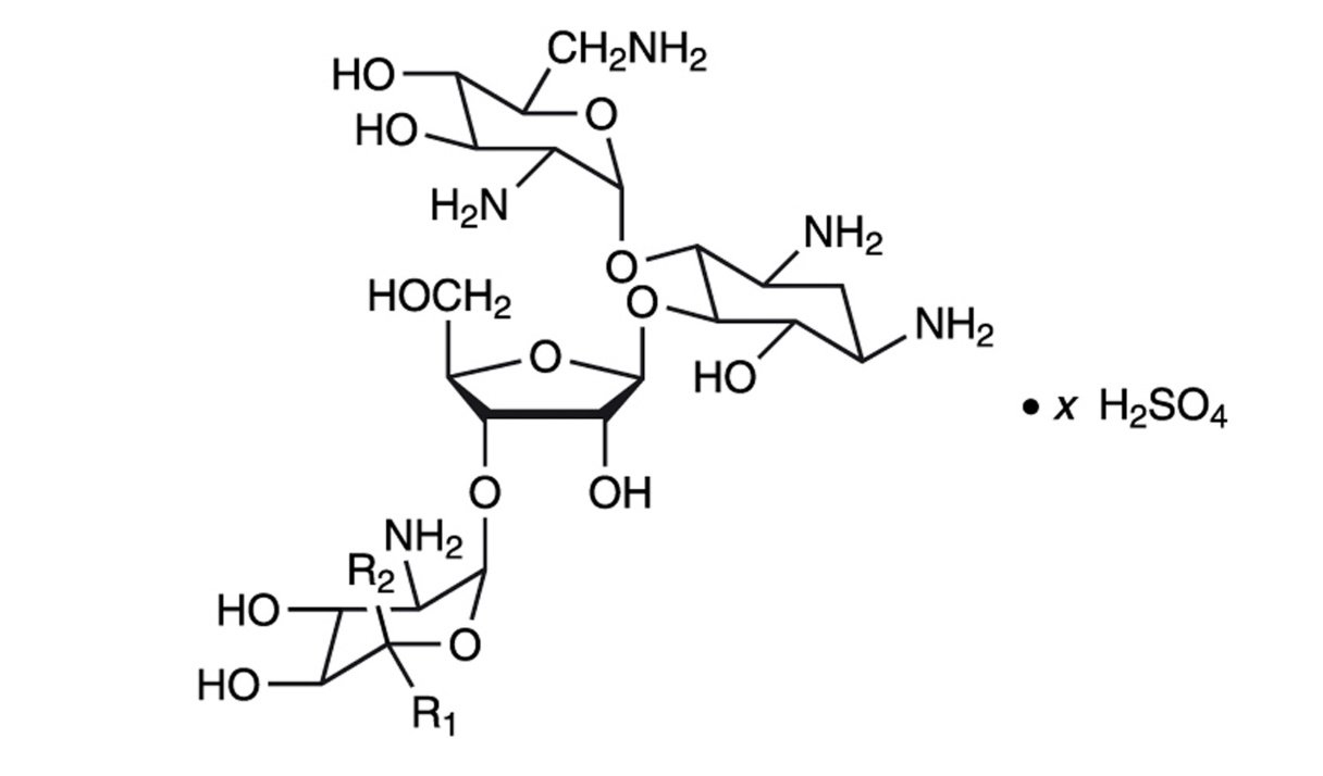 neomycin-chemical