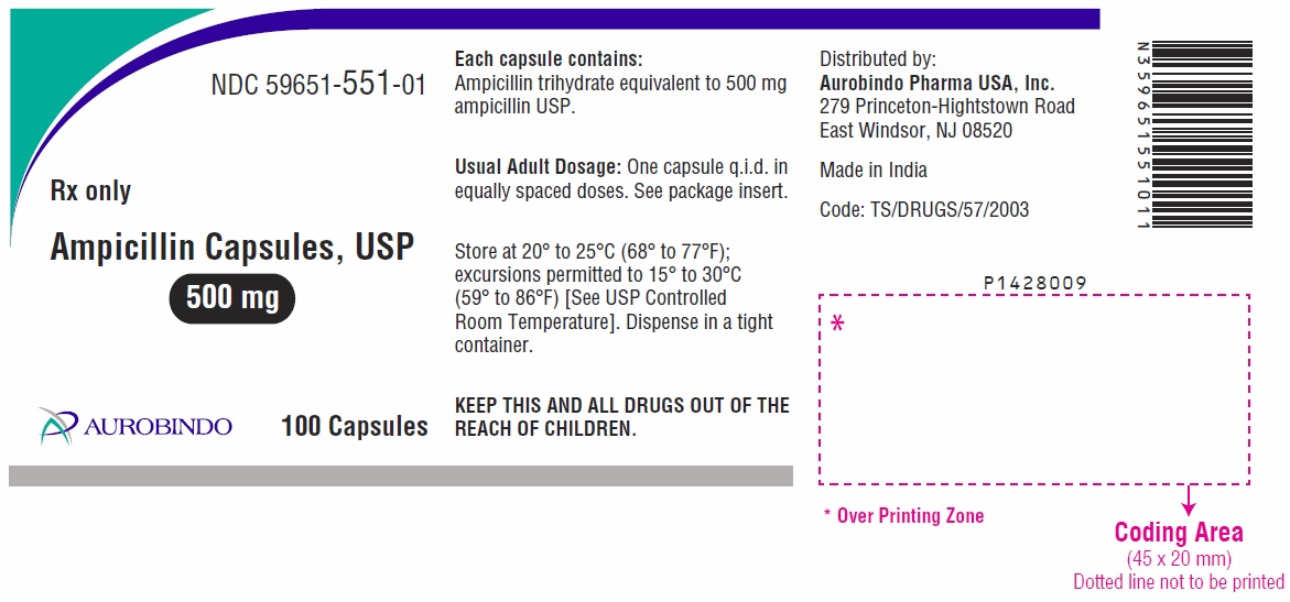 PACKAGE LABEL-PRINCIPAL DISPLAY PANEL - 500 mg (100 Capsules Bottle)