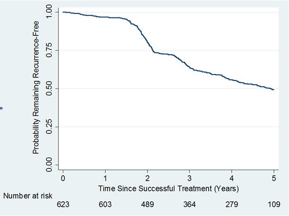 Figure 1. Kaplan-Meier Plot Displaying Estimated Probability of Remaining Recurrence-Free over Time in the Observational Study 4 among Joints that were Successfully Treated in a Previous Study