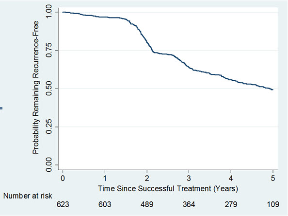 Figure 1. Kaplan-Meier Plot Displaying Estimated Probability of Remaining Recurrence-Free over Time in the Observational Study 4 among Joints that were Successfully Treated in a Previous Study