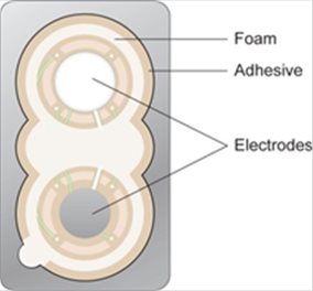 BottomView