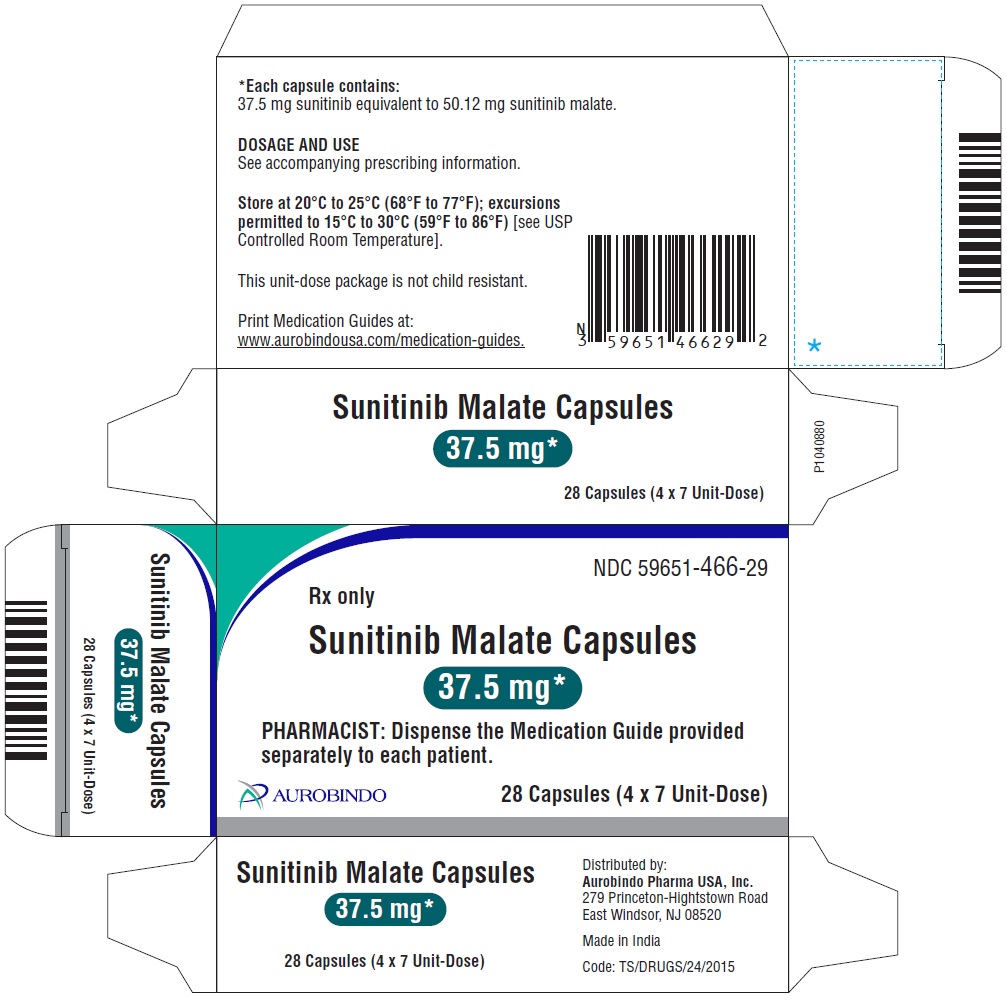 sunitinib-fig10