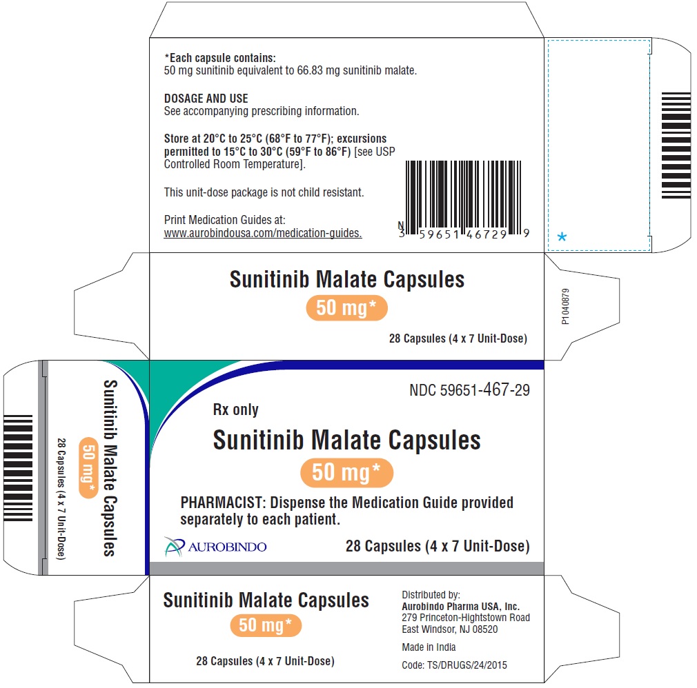 sunitinib-fig12