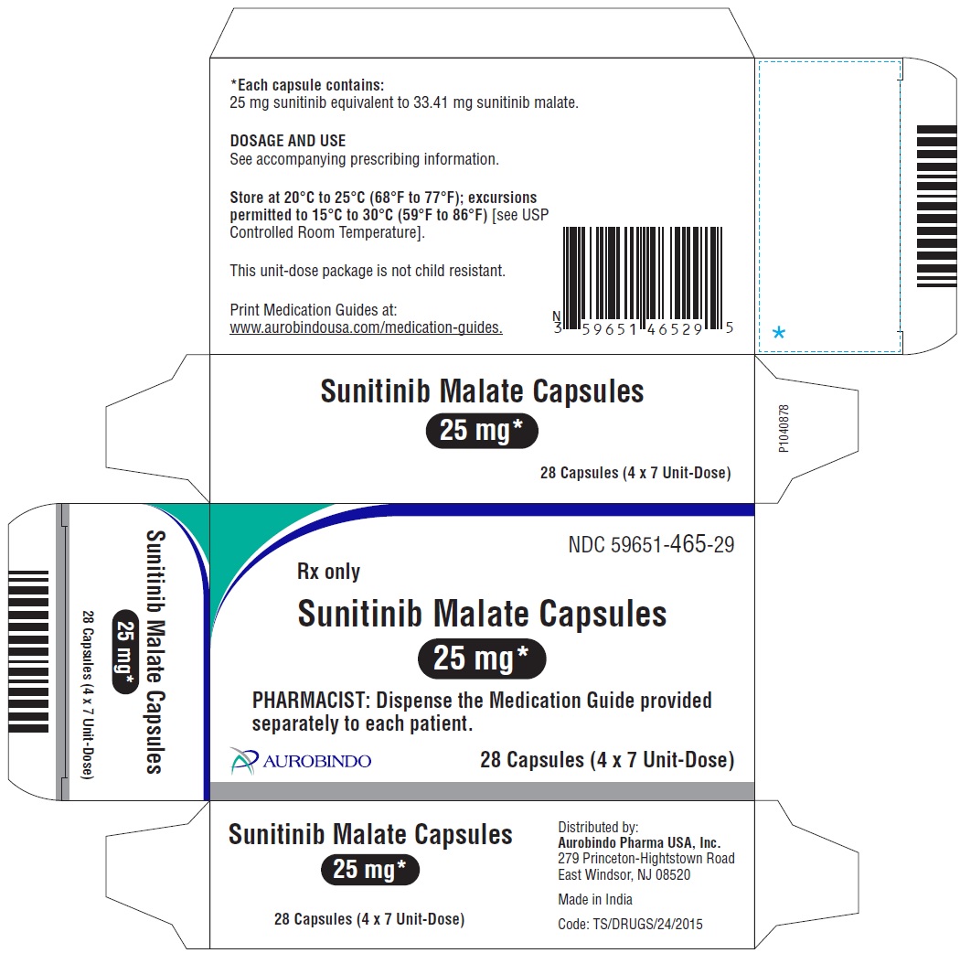 sunitinib-fig8