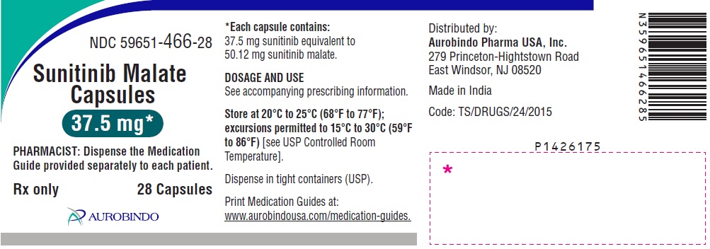 sunitinib-fig9