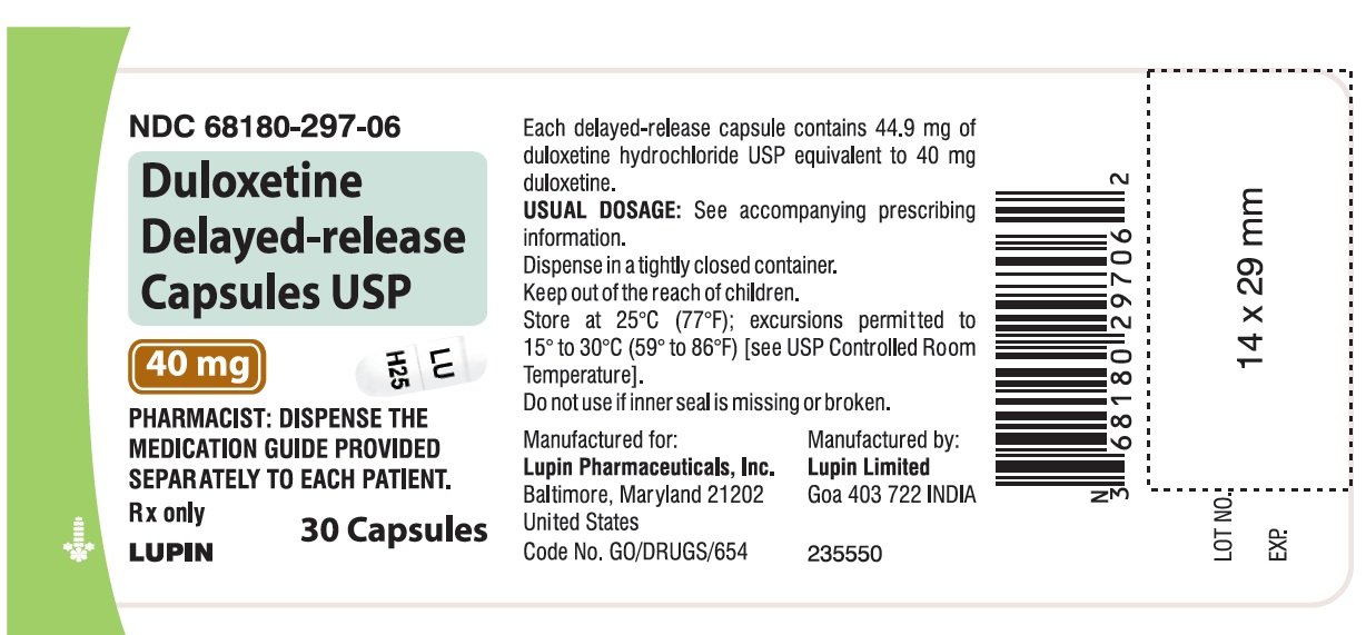 duloxetine 30mg capsule delayed release