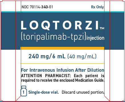 PRINCIPAL DISPLAY PANEL - 240 mg/6 mL Vial Carton