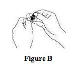 Figure B