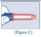 Figure C
