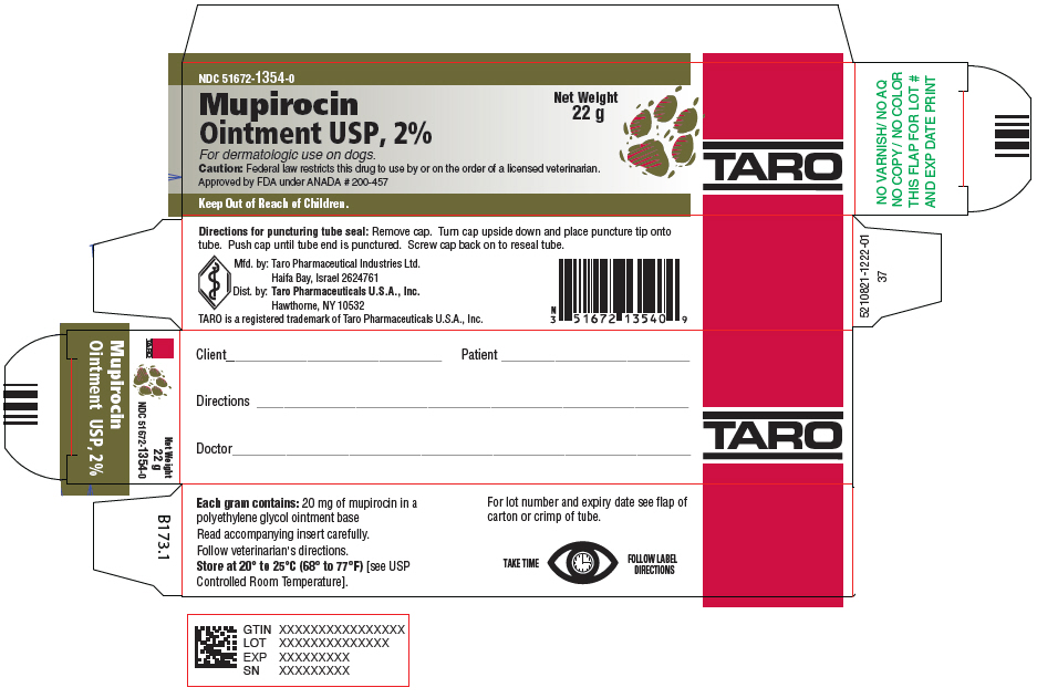 PRINCIPAL DISPLAY PANEL - 22 g Tube Carton