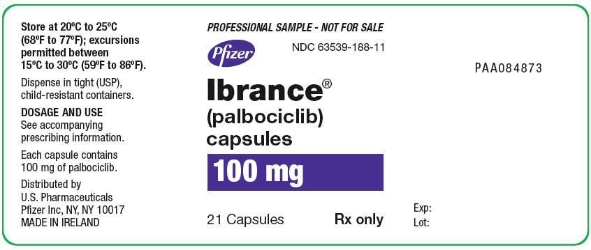 PRINCIPAL DISPLAY PANEL - 100 mg Capsule Bottle Label