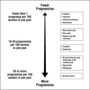 Pregnancy Chart