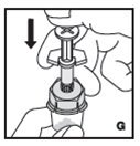 8. Inject the diluent slowly by pushing down on the plunger rod (G