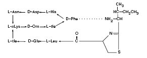 Bacitracin Zinc (structural formula)