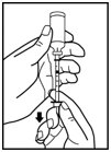 Instructions for Use Step 4