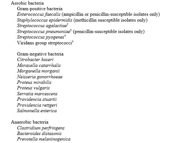 Vitro Data - 2