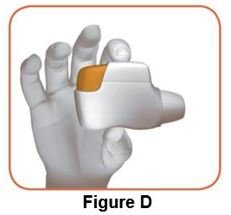 figure_d