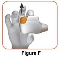 Figure_F