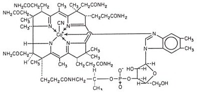 struct-1