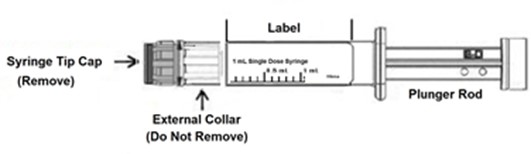 Syringe Image