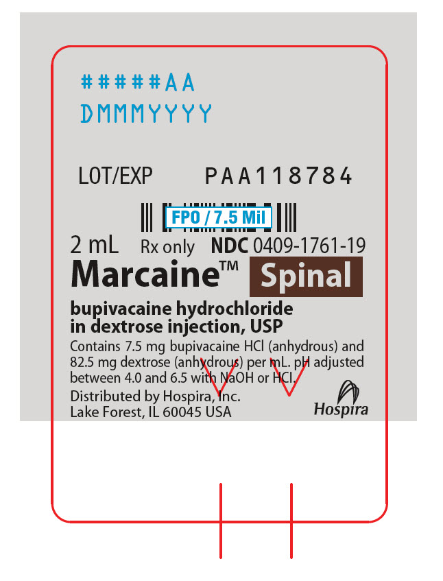 PRINCIPAL DISPLAY PANEL - 2 mL Ampule Label - 1761-19