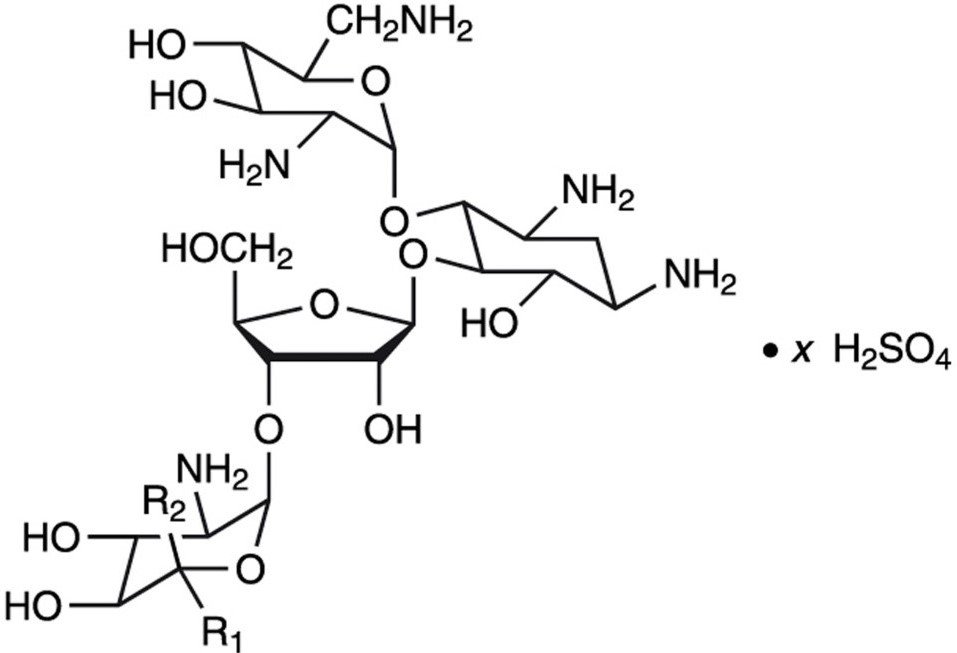 neomycin