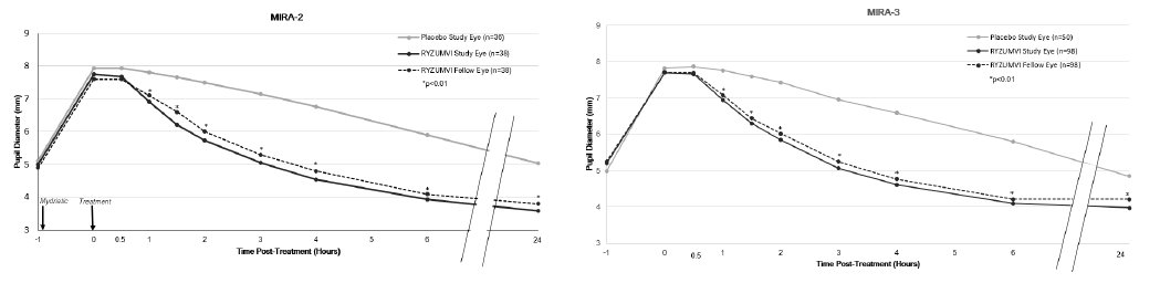 Figure 3: Pupil Dilation by Time Point with Tropicamide or Paremyd as Mydriatic Agent in MIRA-2 and MIRA-3 trials (mITT Population)