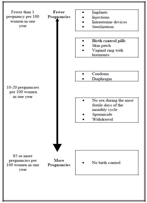 Pregnancy Chart