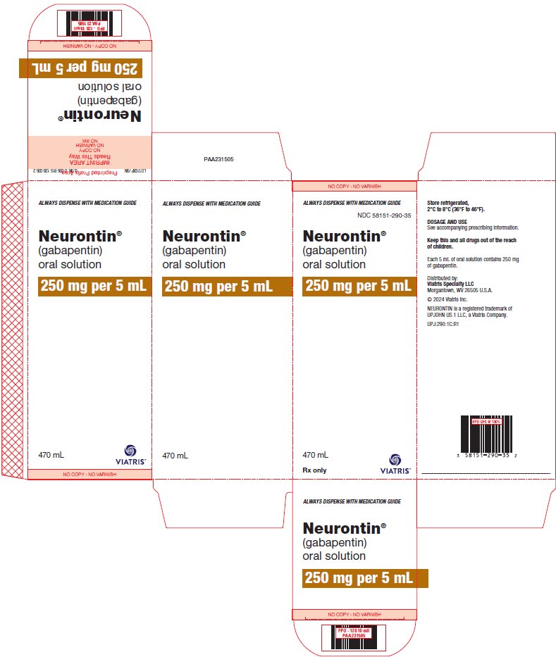 Neurontin® (gabapentin) Oral Solution, 250 mg/5 mL Container Label