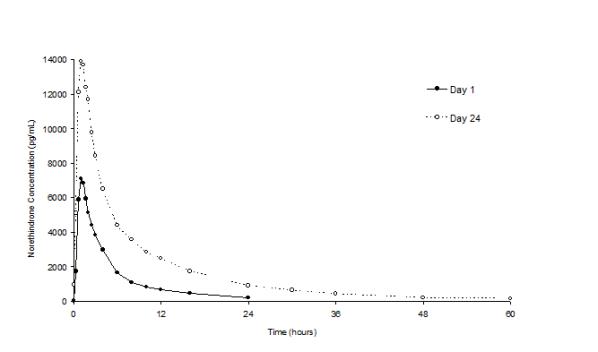 Figure 1. Mean Plasma Norethindrone Concentration-Time Profiles Following Single- and Multiple-Dose Oral Administration of LOESTRIN 24 Fe Tablets to Healthy Female Volunteers Under Fasting Condition (n = 17)