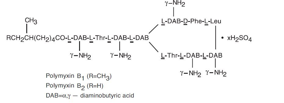 Diagram

Description automatically generated