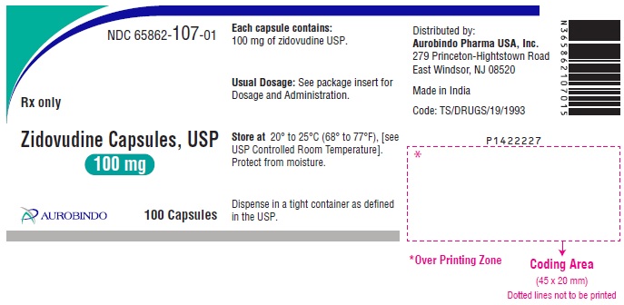 PACKAGE LABEL-PRINCIPAL DISPLAY PANEL - 100 mg (100 Capsules Bottle)