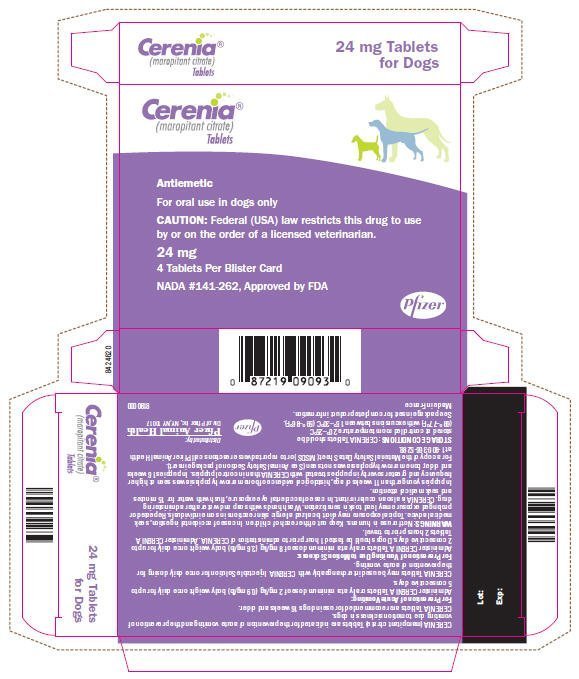 Principal Display Panel - 24 mg Tablets Carton