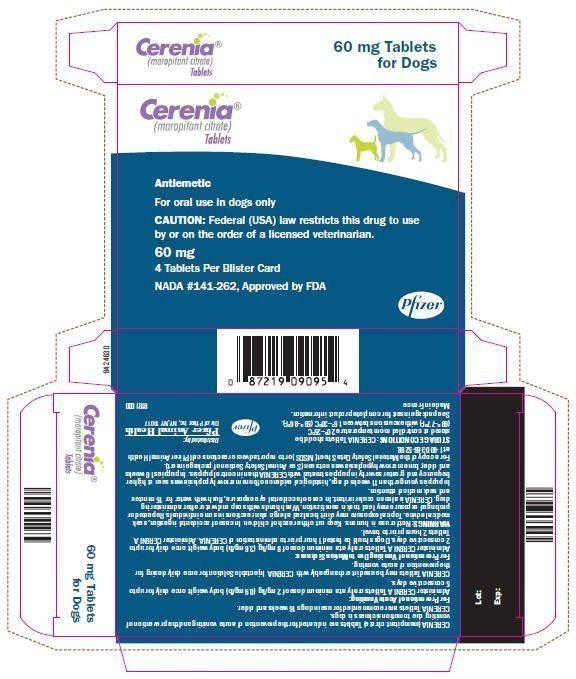 Principal Display Panel - 60 mg Tablets Carton