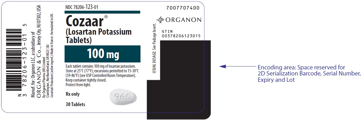 PRINCIPAL DISPLAY PANEL - 100 mg Tablet Bottle Label