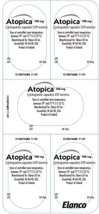 Prinicipal Display Panel - 100mg Blister Label