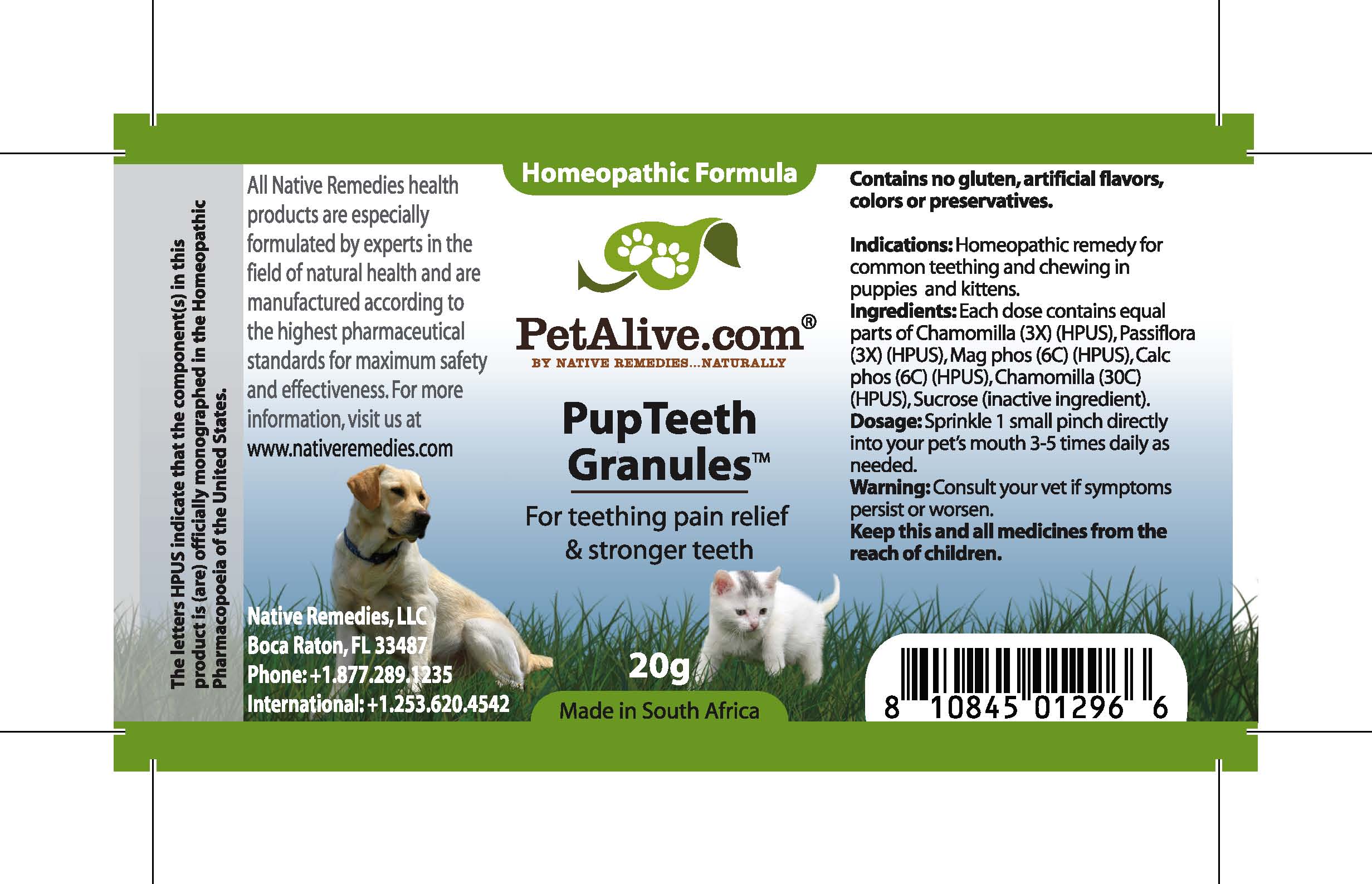 dog teething pain relief