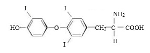 T3-structure