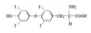 T4-structure