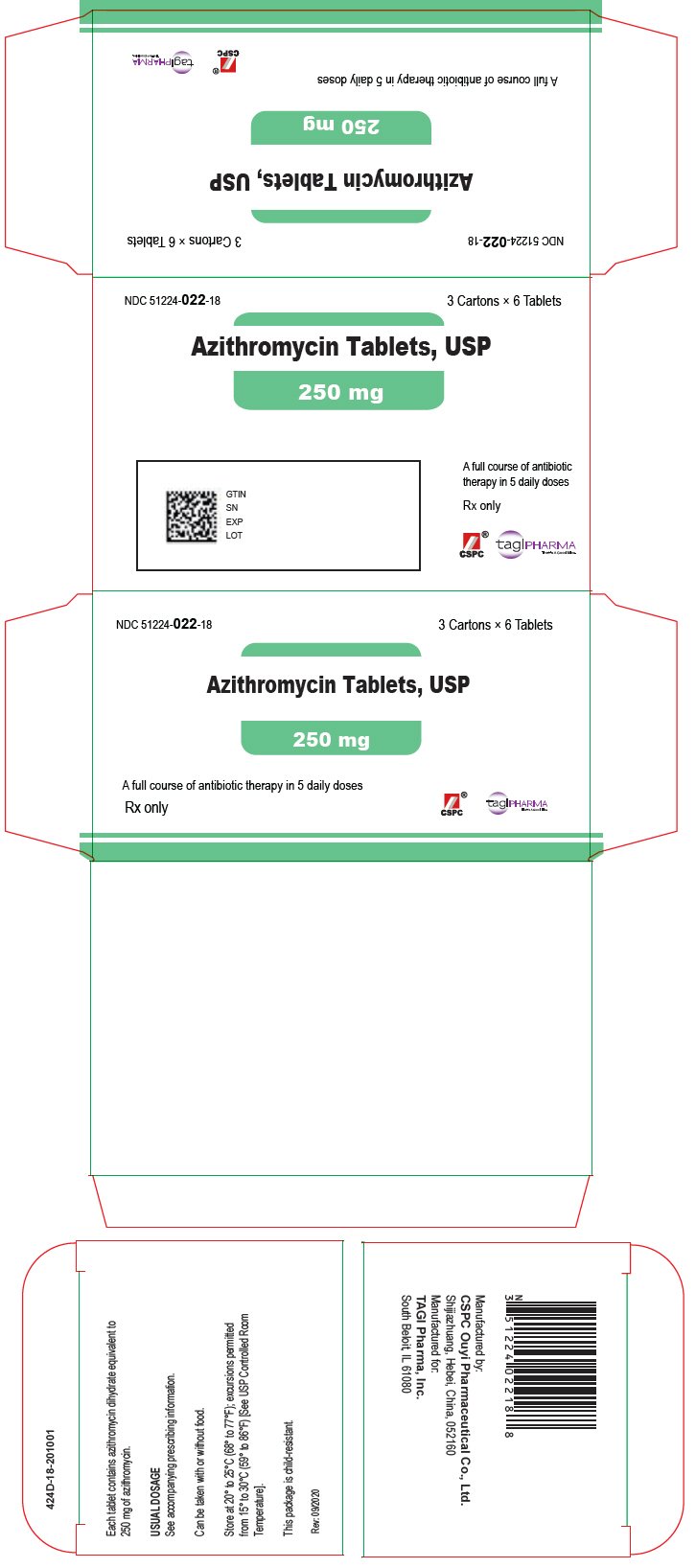 PRINCIPAL DISPLAY PANEL - 250 mg Tablet Carton