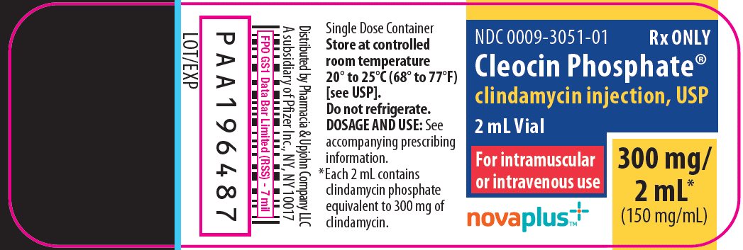 Cleocin 900 mg iv