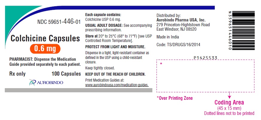 PACKAGE LABEL.PRINCIPAL DISPLAY PANEL - 0.6 mg (100 Capsules Bottle)