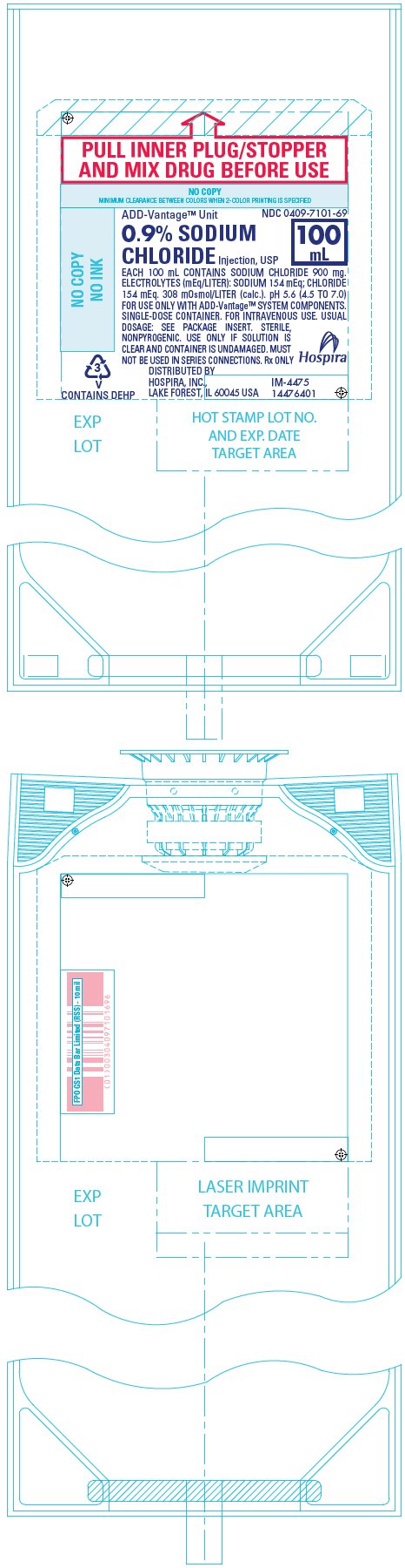 PRINCIPAL DISPLAY PANEL - 100 mL Bag Label - NDC 0409-7101