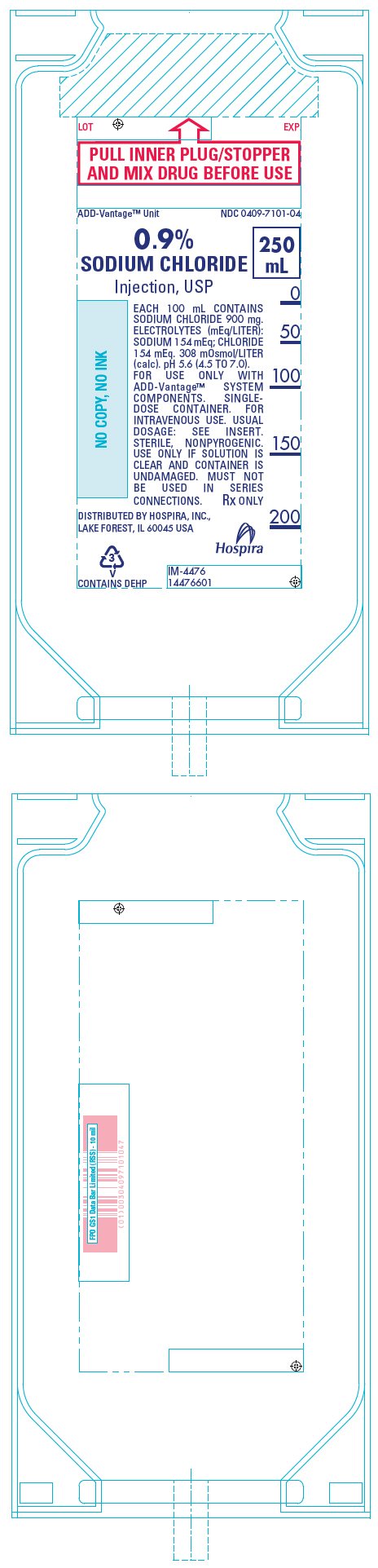 PRINCIPAL DISPLAY PANEL - 250 mL Bag Label - NDC 0409-7101
